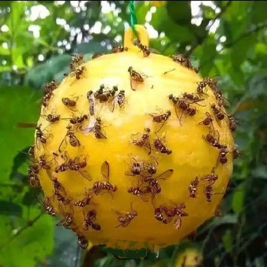 Sticky Fly Trap Balls